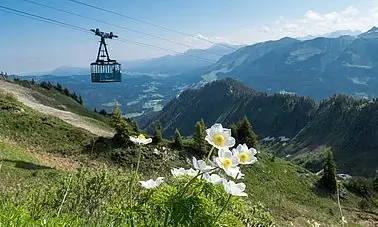 Seilbahn umgeben von Blumen mit Bergkulisse im Hintergrund.