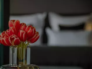 Ein Bund roter Tulpen in einer Glas Vase steht im Vordergrund des Bildes. Im Hintergrund ist verschwommen ein graues Bett mit mehreren Kissen zu sehen. 