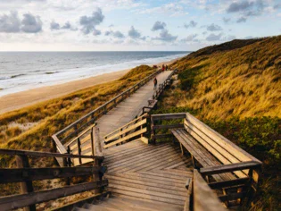 Passerella in legno che conduce a una spiaggia con erba e panchine lungo il percorso.