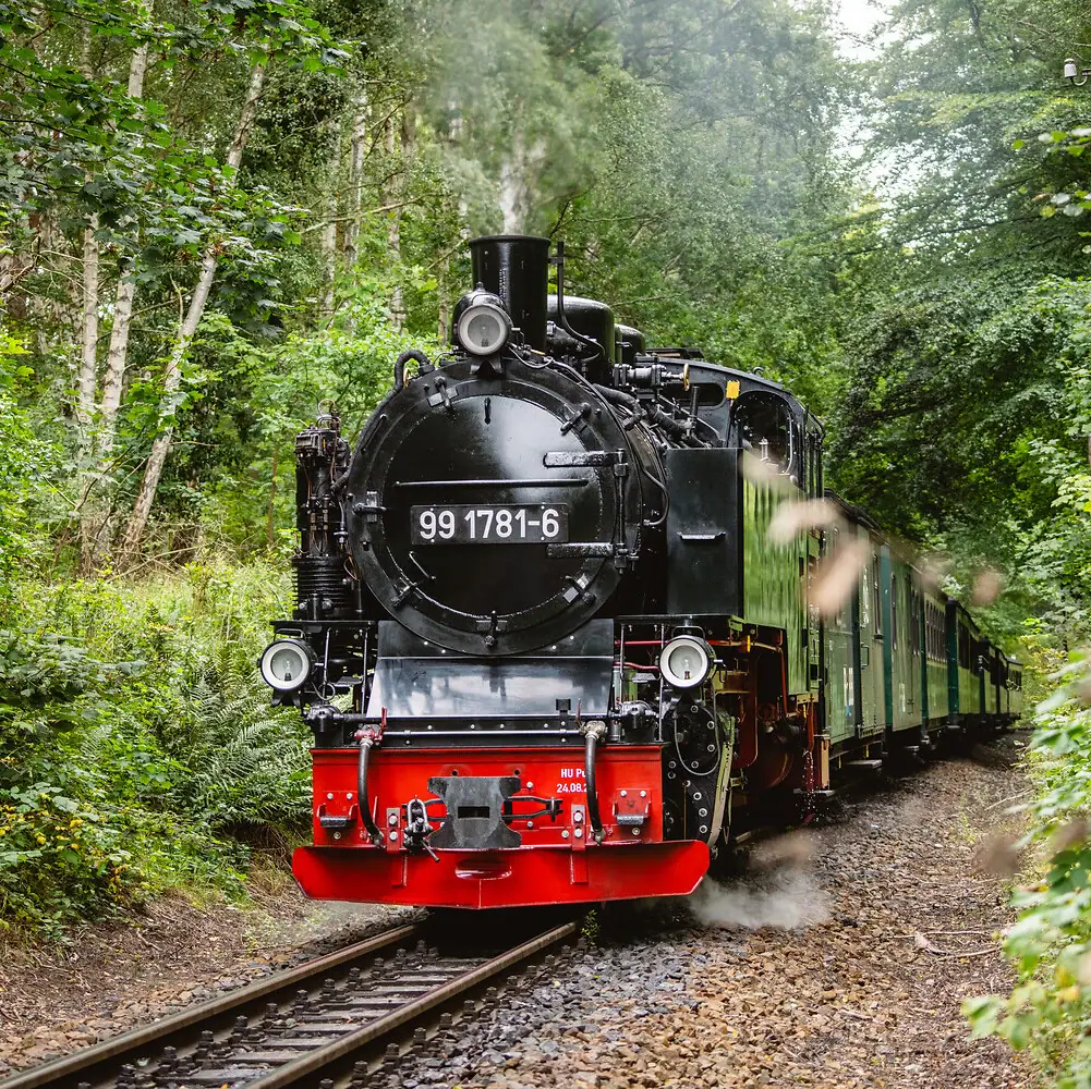 Rasender Roland Ein Zug auf den Gleisen.