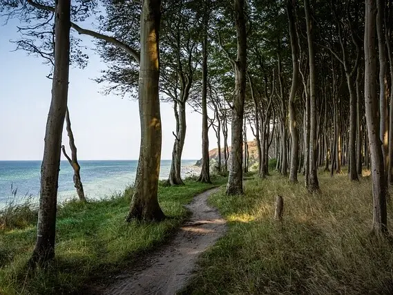 Hochuferweg auf Rügen von Binz nach Sellin.