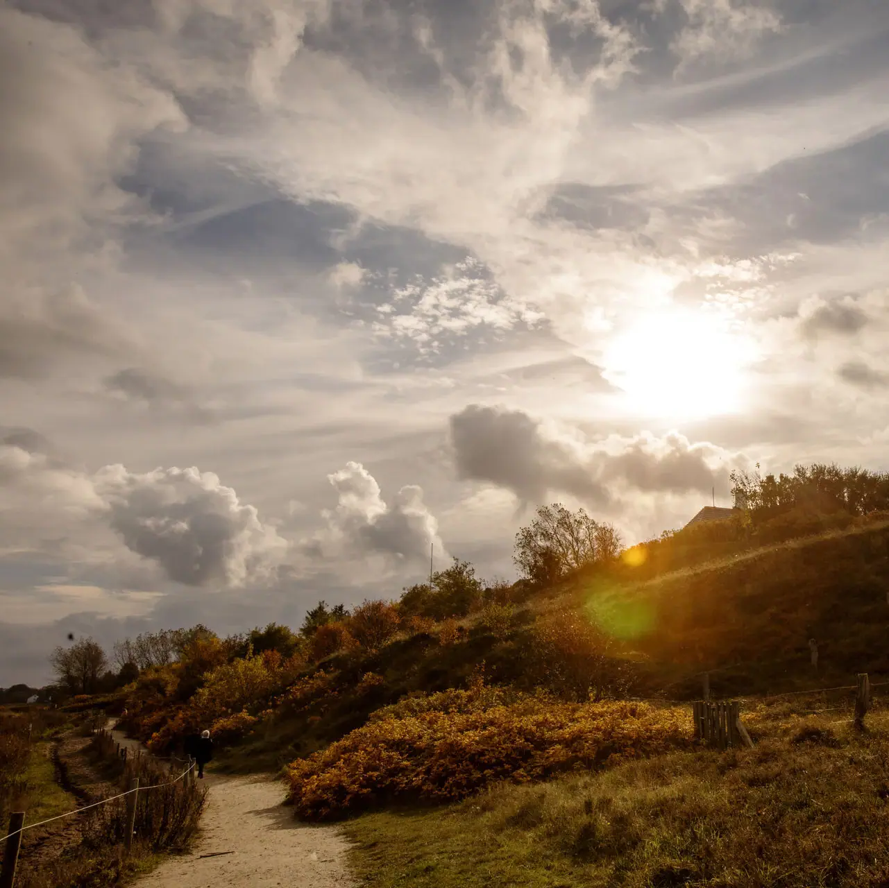Ein Weg zwischen den Dünen auf Sylt im Herbst.