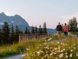 Ein Paar wandert auf einem blumenbedeckten Pfad in einer alpinen Landschaft bei Sonnenuntergang, mit einem beeindruckenden Bergmassiv im Hintergrund.