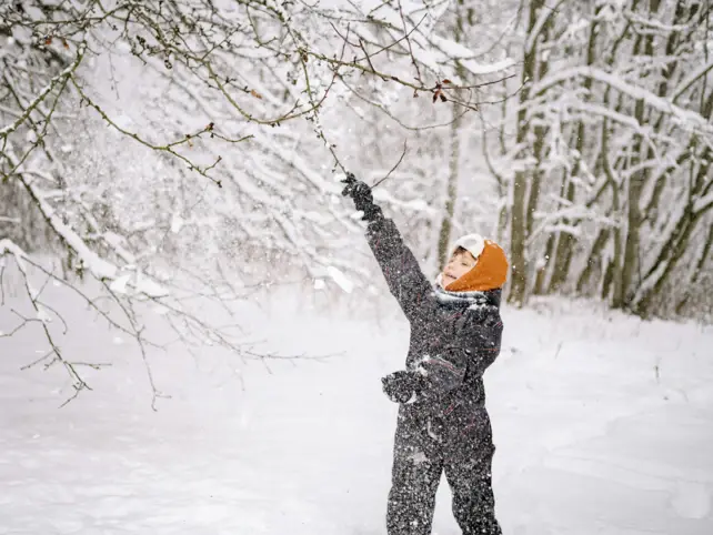 A little boy in a black snowsuit and an orange cap stands in a snowy landscape and shakes snow off a branch with his right cell phone.
