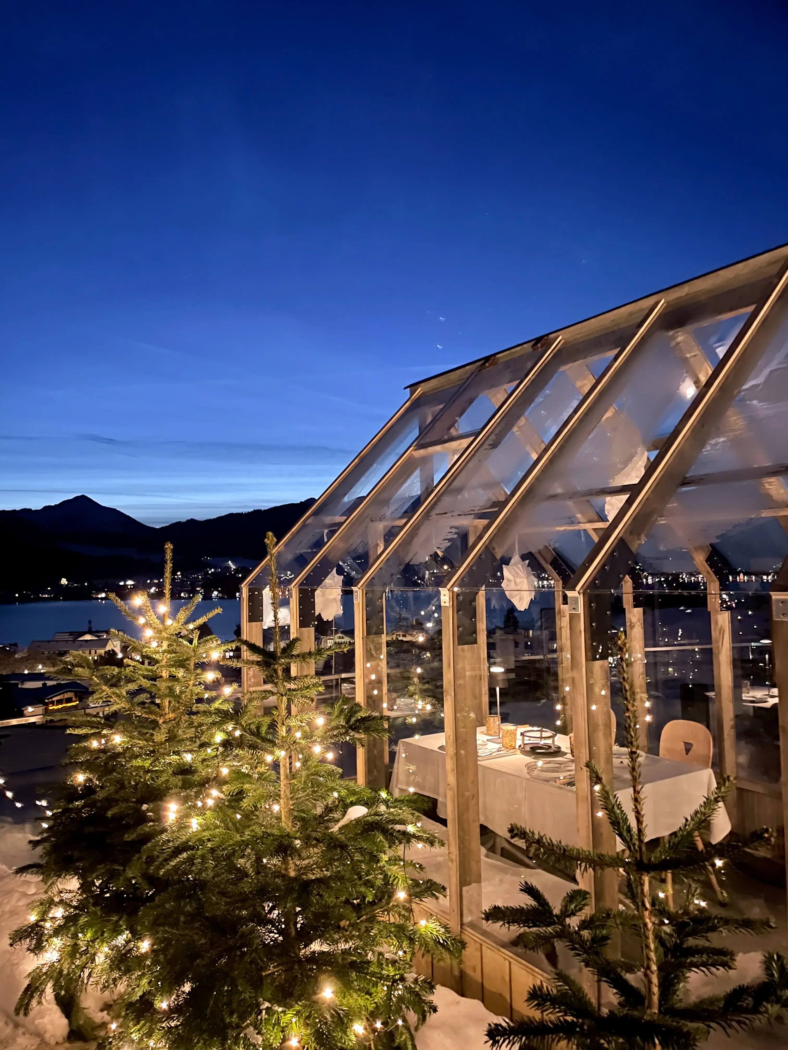 Ein Glashaus mit einem Baum und Lichtern bei Nacht.