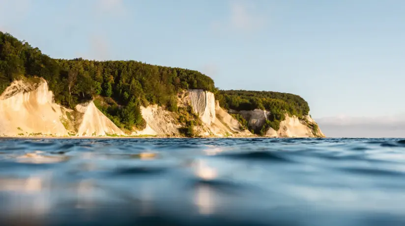 The chalk cliffs of Rügen jut out into the shimmering blue Baltic Sea. The cliffs are covered in dense, dark green beech forests.