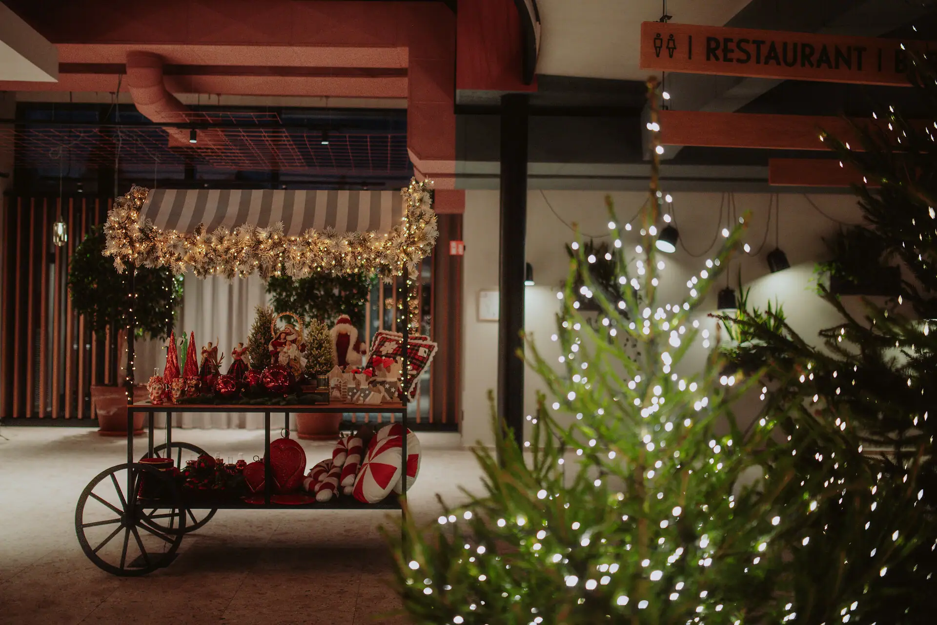 Ein Weihnachtsbaum neben einem Wagen.