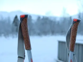 Es sind zwei Griffe von Skistöcken zu sehen und im Hintergrund eine verschneite Landschaft.