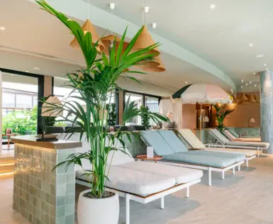Lounge-Sessel in einem stilvoll eingerichteten Raum mit Zimmerpflanzen und Couchtisch.