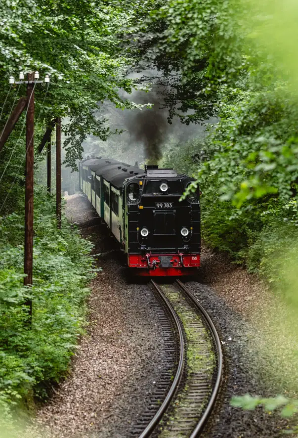 Ein Zug auf Schienen umgeben von Bäumen und Gras.