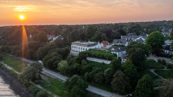 Strada circondata da alberi con edifici sullo sfondo e un tramonto.