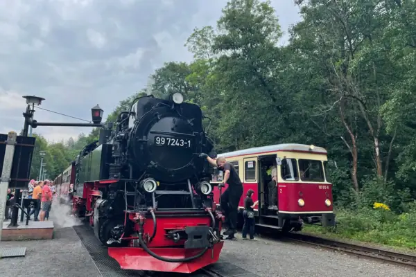 Ein Zug auf den Gleisen.