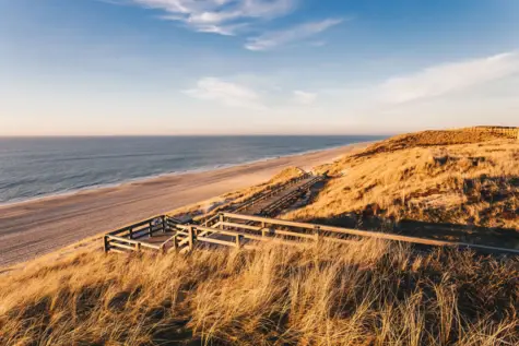 Holzsteg führt durch eine Graslandschaft zum Strand.