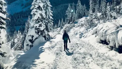 Ein Mensch wandert durch eine verschneite Winterlandschaft und es sind Berge im Hintergrund zu sehen.