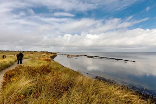 Gras und Wasser neben einem Gewässer unter bewölktem Himmel.