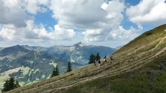 Gruppe von Personen beim Wandern auf einem Hügel in der Natur.