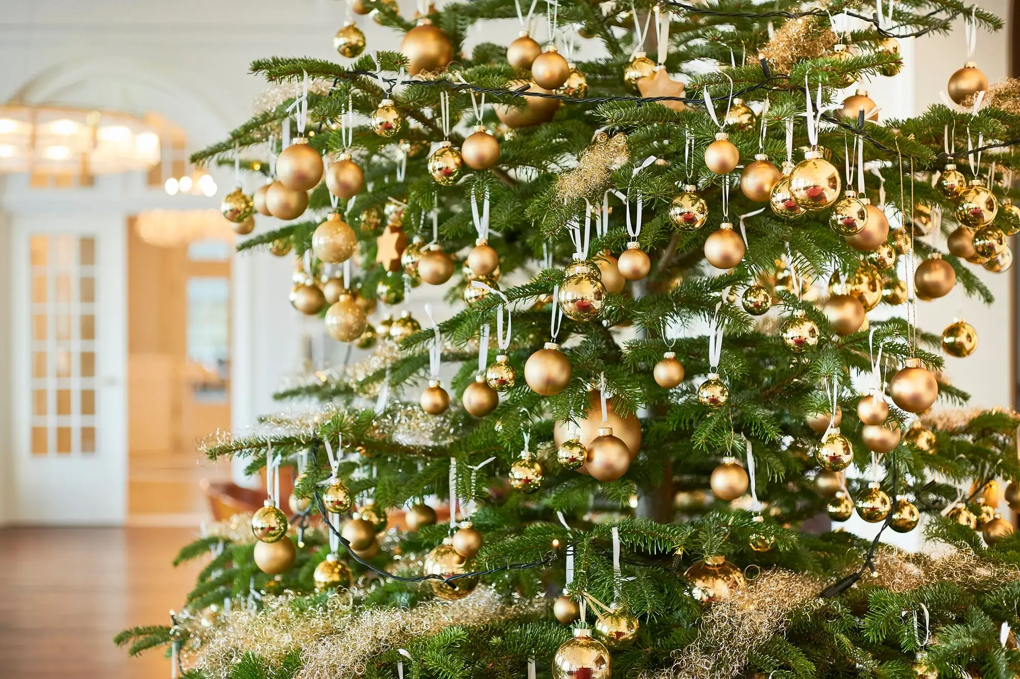 Ein geschmückter Weihnachtsbaum mit festlichen Ornamenten.