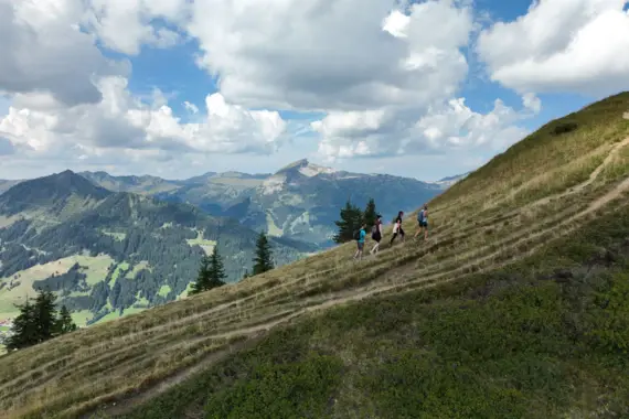 Gruppe von Personen wandert auf einem Hügel in der Natur.