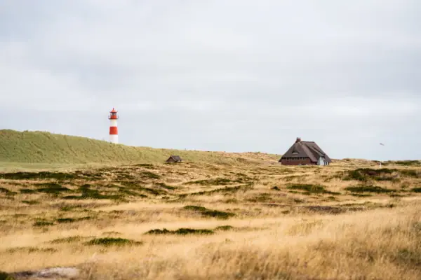 Ein Haus und ein Leuchtturm in einem Feld.