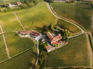 Ein Weingut umgeben von Weinbergen aus der Vogelperspektive fotografiert.