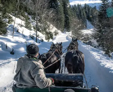 Winterliche Pferdeschlittenfahrt durch verschneiten Wald in den Alpen, gelenkt von einem Kutscher in traditioneller Kleidung.