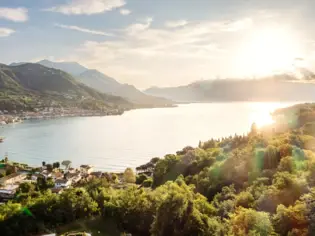 Landschaft mit einem Gewässer, umgeben von Bäumen und Gebäuden im Hintergrund.