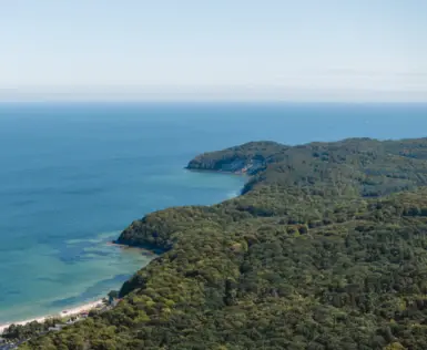 Eine Luftansicht einer grünen Landschaft am Wasser an einem sonnigen Tag.