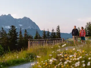 Zwei Personen beim Wandern auf einem Blumenweg mit Berg im Hintergrund.