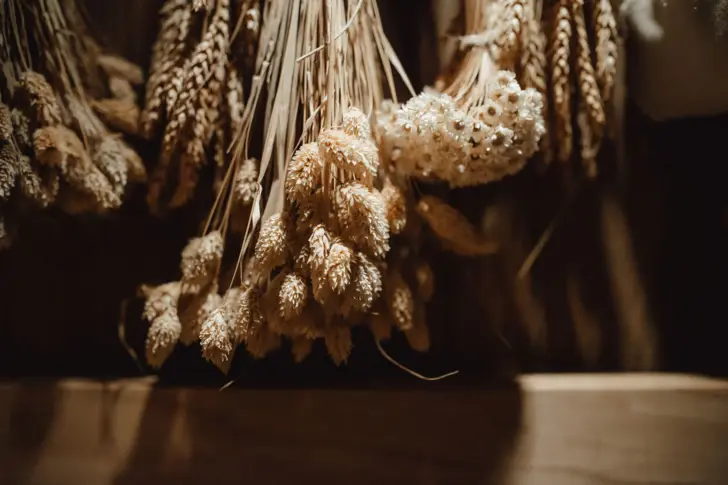 An atmospheric image of hanging ears of grain and dried herbs in warm light. The ears of grain and herbs hang upside down and are photographed from the side, casting a soft shadow on a wooden surface below. The focus is on the tips of the grain in the foreground, while the background is bathed in soft darkness, giving a picturesque and rustic impression.