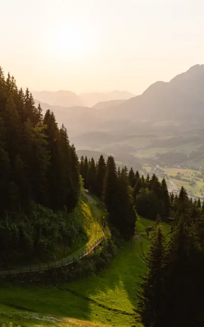 Straße auf einem Berg umgeben von Bäumen und Gras unter einem klaren Himmel.