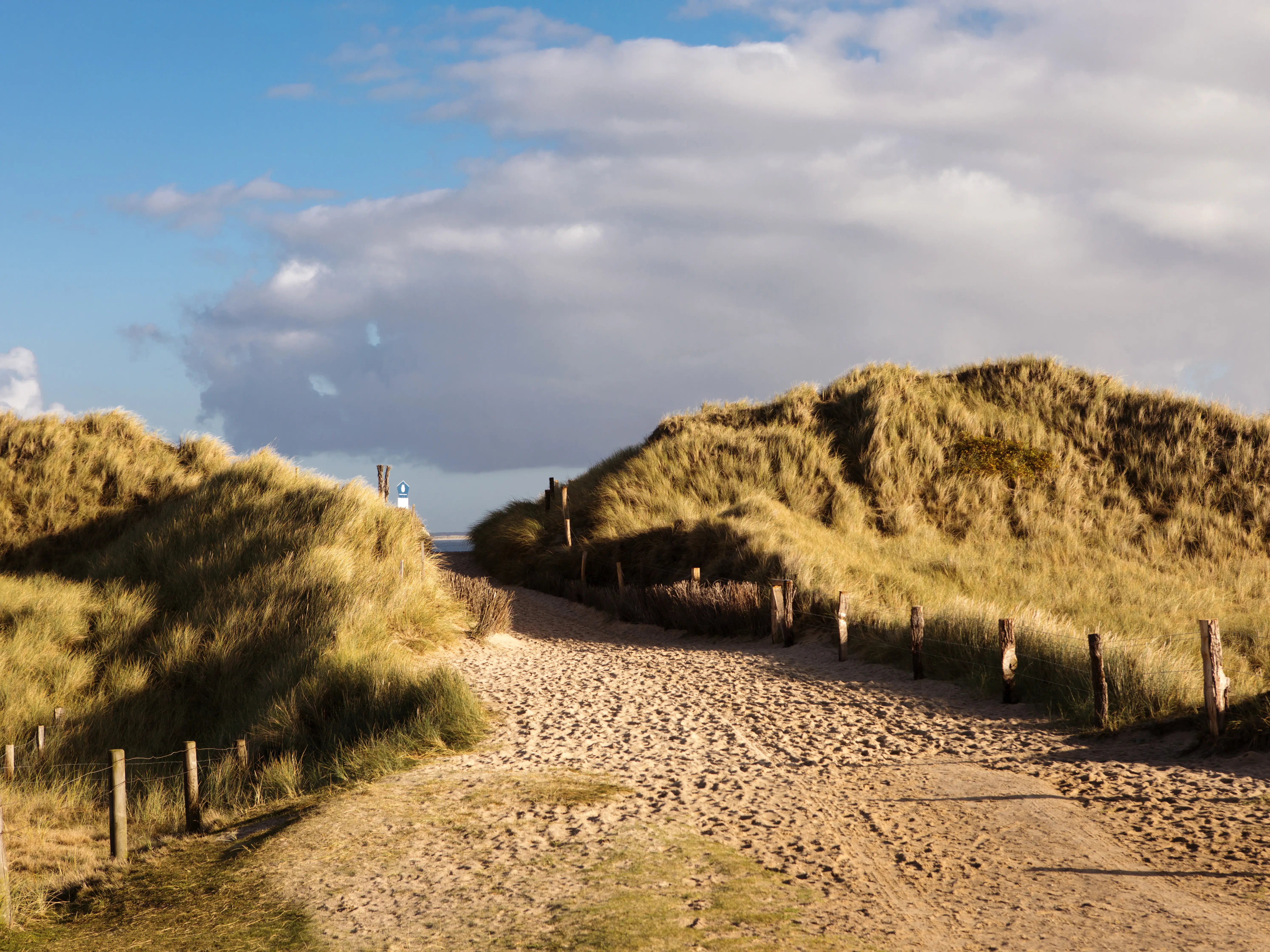 Ein Dünenweg mit Gras und einem Zaun.