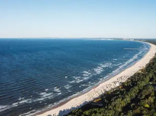 Strand mit Bäumen und Wasser, umgeben von einer Küstenlandschaft.