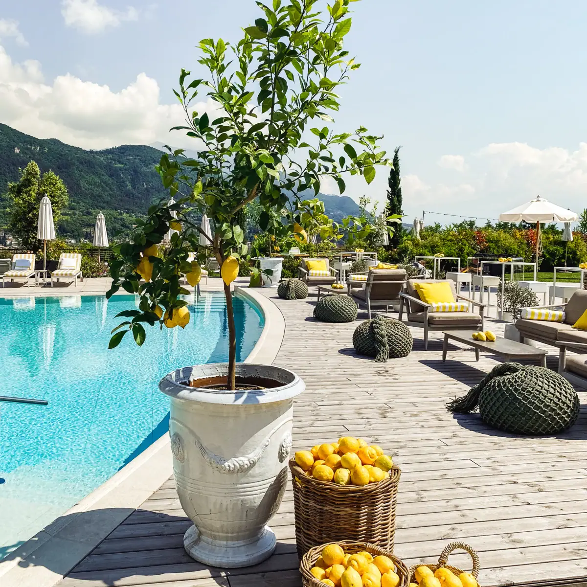 Ein Pool mit einem Zitronenbaum und Stühlen im Freien. Außerdem stehen viele Körbe gefüllt mit Zitronen.
