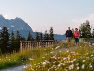 Ein Mann und eine Frau wandern auf einem Pfad in einem Blumenfeld mit einem Berg im Hintergrund.