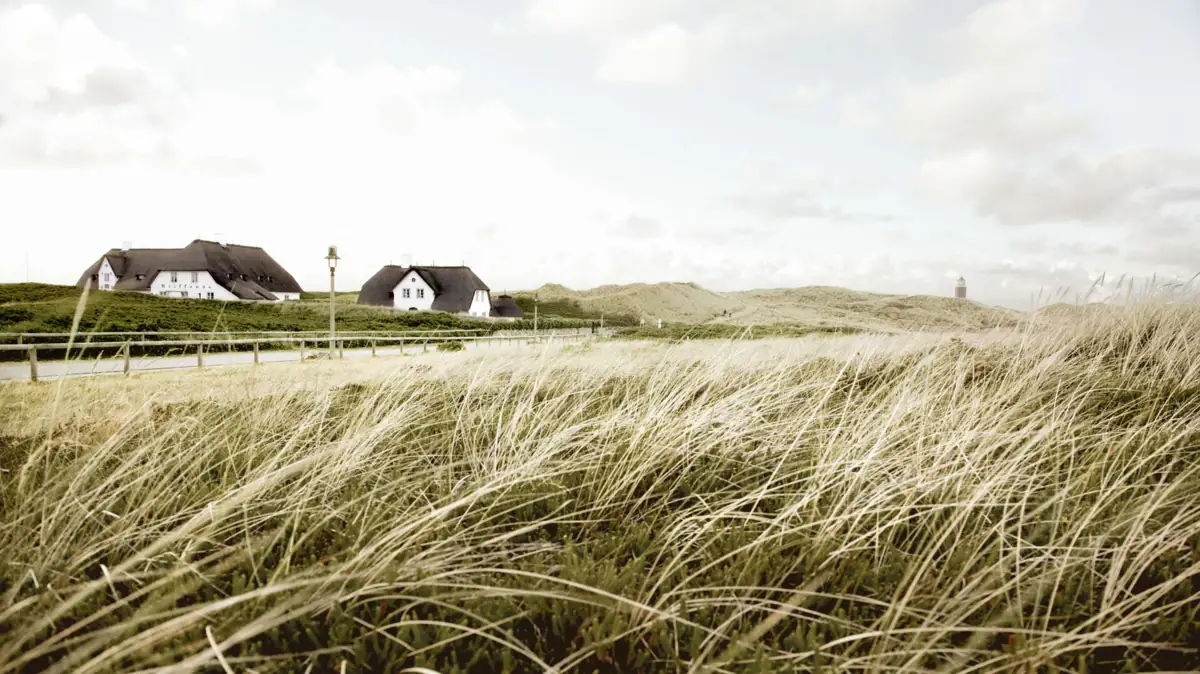Ein Feld mit Gras und Häusern im Hintergrund.