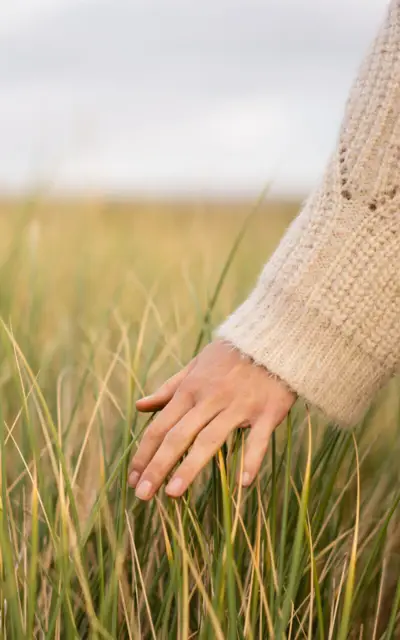 Hand berührt hohes Gras im Freien.