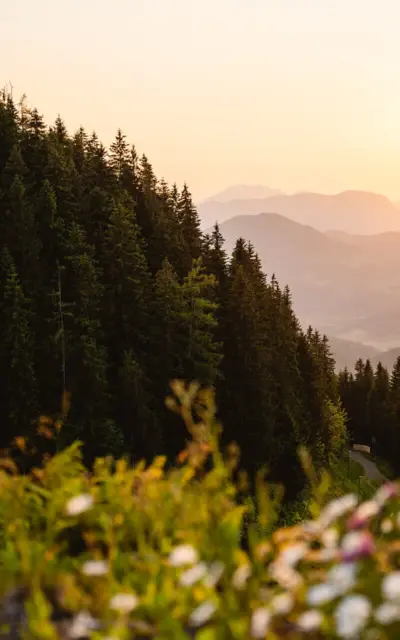 Landschaft mit Bergen, Bäumen und einem Sonnenuntergang.