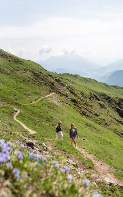 Zwei Personen wandern auf einem Wanderweg in einer grasbewachsenen Landschaft.